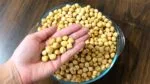 KAVRULMUŞ FINDIK 500GR
